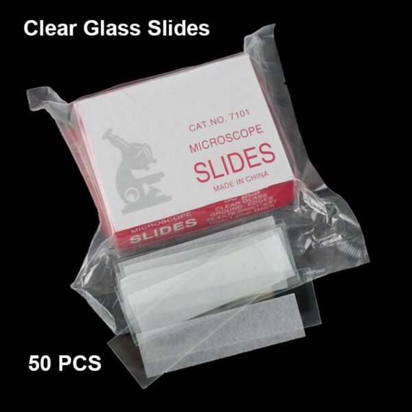 Glass Slides