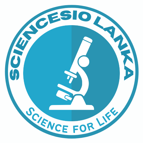 Stethoscope prices in Sri Lanka SCIENCESIO LANKA