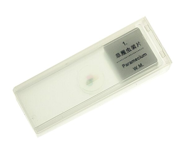 Prepared Microscope Slides Sri Lanka