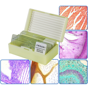 Microscope Slides Prepared Sri Lanka