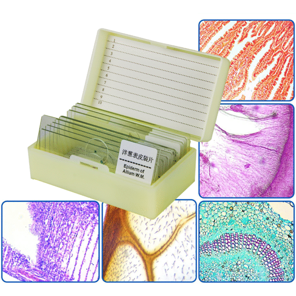 Microscope Slides Prepared Sri Lanka