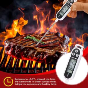 Food Thermometer